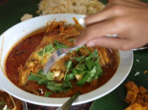 The Famous Fishhead curry